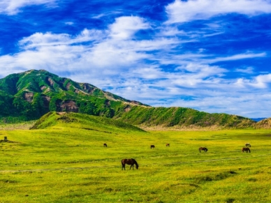 草千里ヶ浜_噴煙を上げる中岳を望み烏帽子岳の北麓に広がり大きな池や放牧された馬など牧歌的な風景