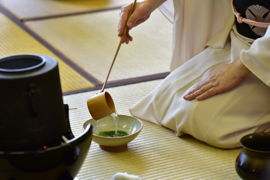 お抹茶、茶道体験