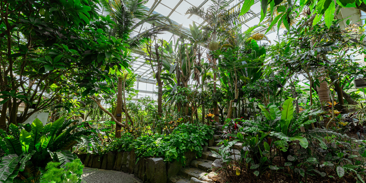 福岡市動植物園