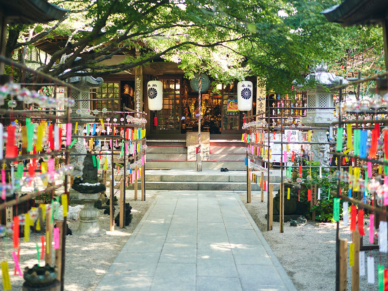 如意輪寺（かえる寺）