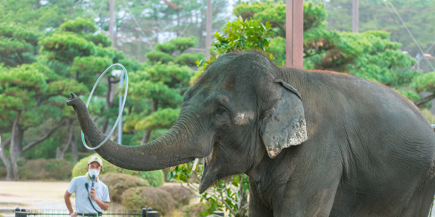 宮崎市フェニックス自然動物園