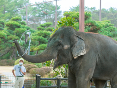 宮崎市フェニックス自然動物園