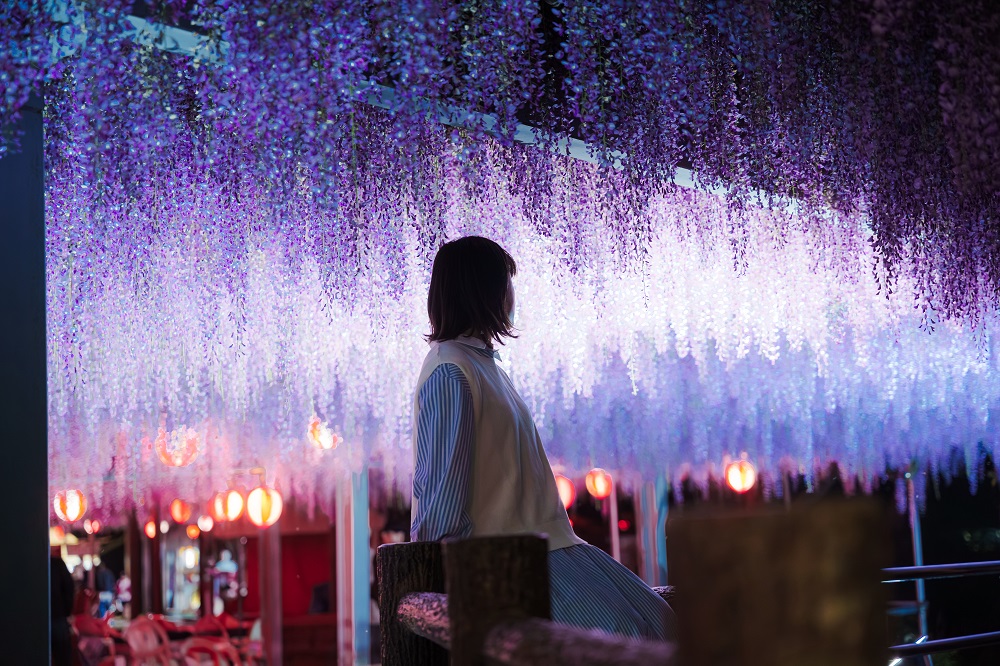 Nakayama Oofuji: makes for a romantic date spot litup at