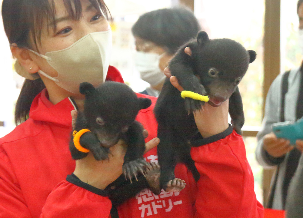 動物好きにはたまらない！！「阿蘇カドリー・ドミニオン」 | Enjoy