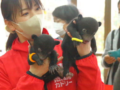 動物好きにはたまらない！！「阿蘇カドリー・ドミニオン」 | Enjoy