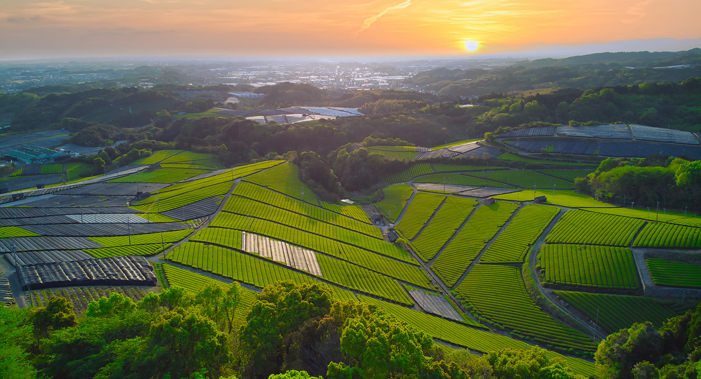 Yame City, Fukuoka Prefecture