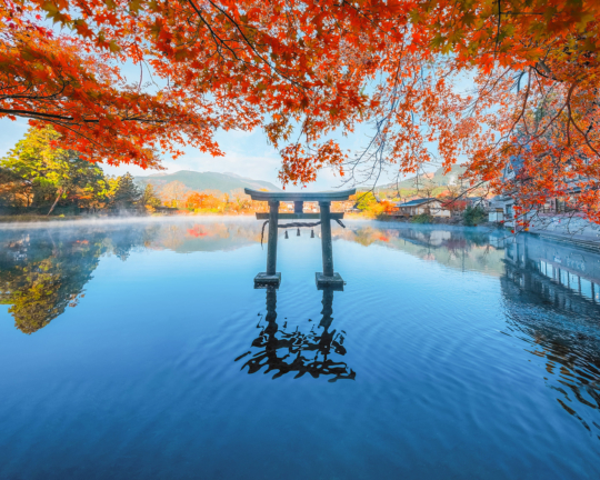 龍神伝説の残る天祖神社と金鱗湖