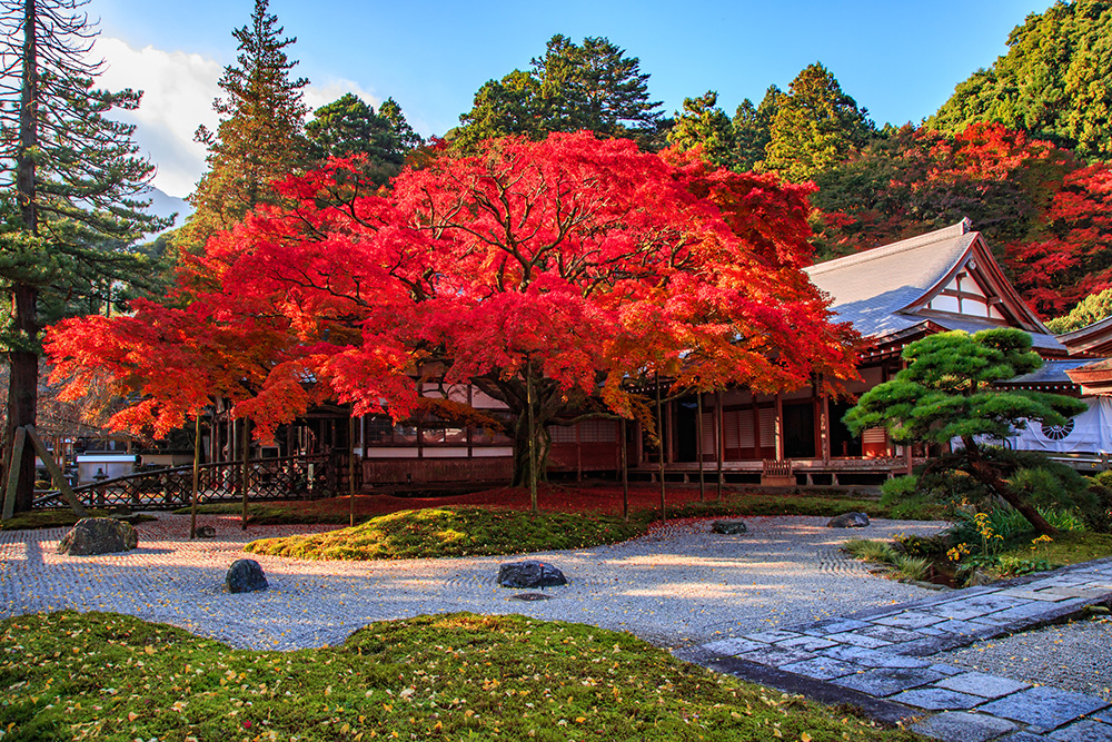 福岡、糸島のパワースポット、雷山千如寺大悲王院の紅葉