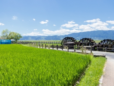 菱野の三連水車（夏）福岡県朝倉市