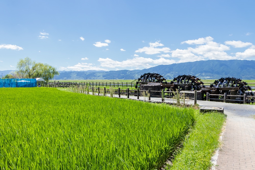 菱野の三連水車（夏）福岡県朝倉市