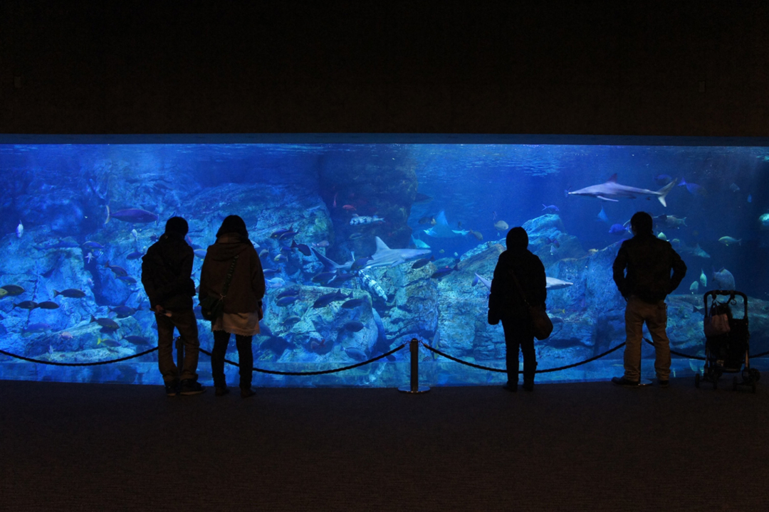 大分マリーンパレス水族館うみたまご