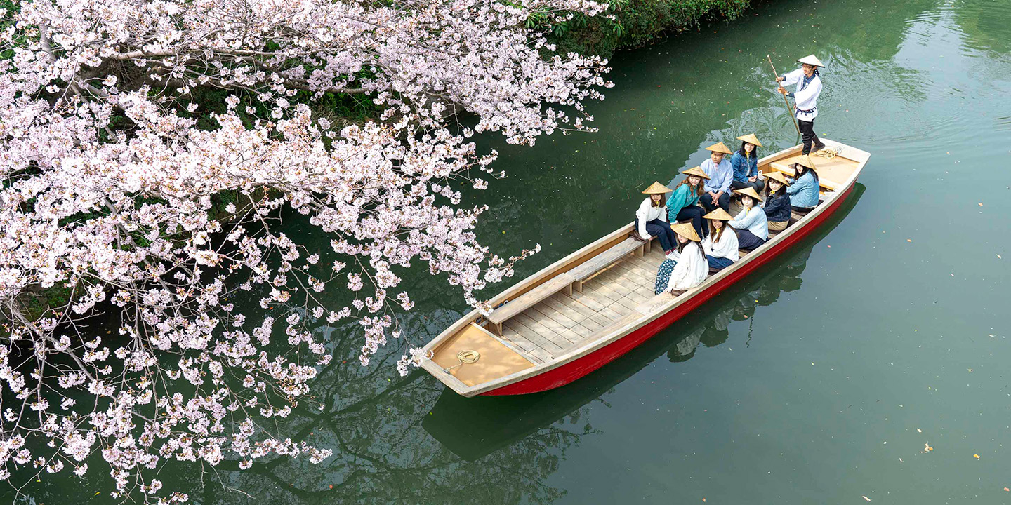 桜の中の柳川川下り