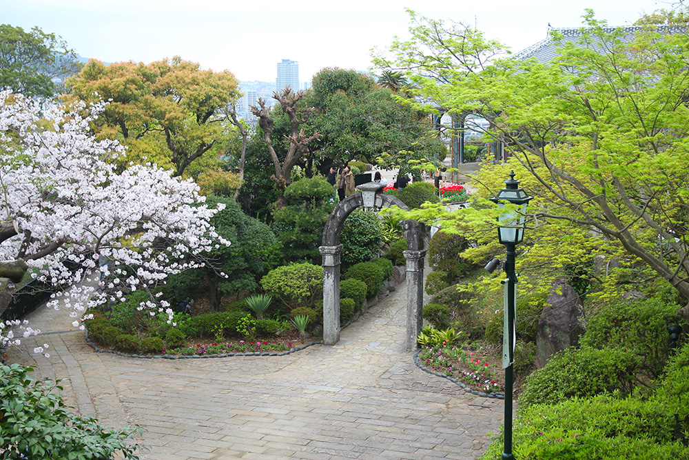 グラバー園、緑の中に桜