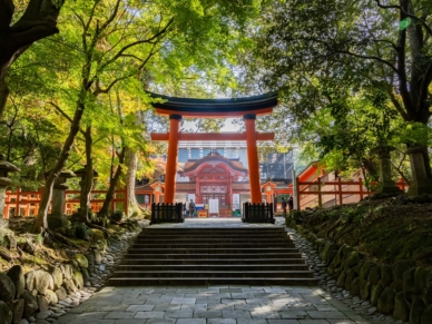 大分のパワースポット宇佐神宮