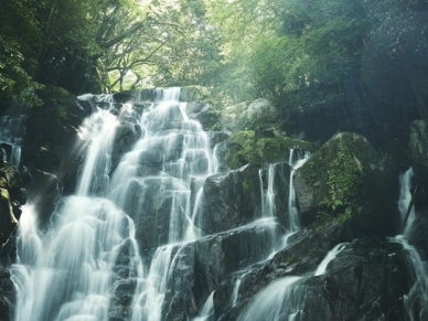糸島の白糸の滝