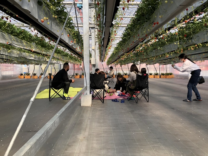 ITADAKI　FARMのいちごハウス