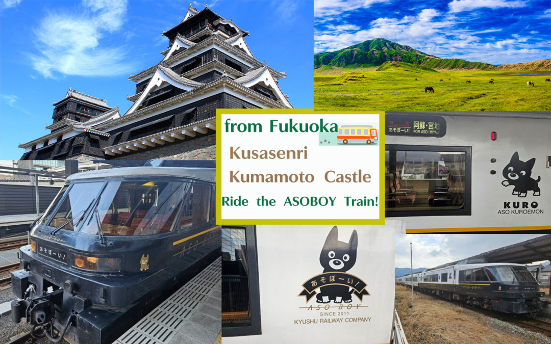 バス旅も「あそぼーい！」乗車も叶えちゃう欲張り日帰りツアー！