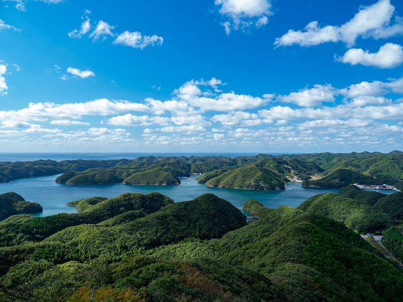 対馬の浅茅湾