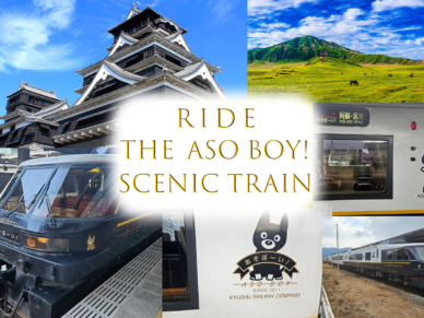バス旅も「あそぼーい！」乗車も叶えちゃう欲張り日帰りツアー！