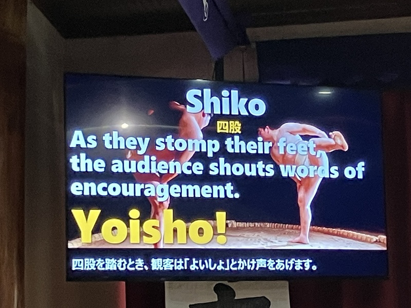 しこ